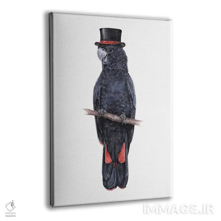 تابلو دکوراتیو کاکاتو سیاه دم قرمز اثر میخائیل ودرنیکوف - نمای پرسپکتیو محصول