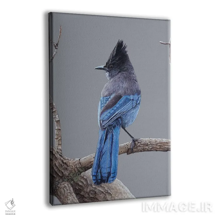 تابلو دکوراتیو مرغ چی استلر اثر میخائیل ودرنیکوف - نمای پرسپکتیو محصول