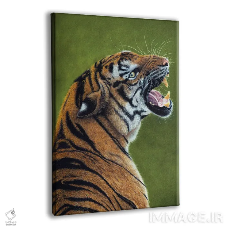 تابلو دکوراتیو ببر ۳ اثر میخائیل ودرنیکوف - نمای پرسپکتیو محصول
