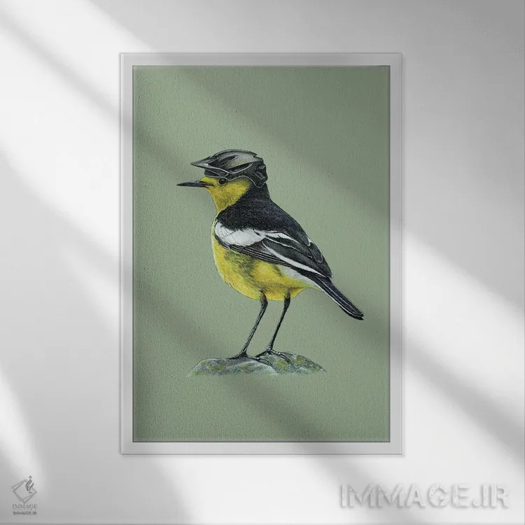 تابلو دکوراتیو دم جنبانک زرد پرتقالی اثر میخائیل ودرنیکوف - نمای قابدار سفید