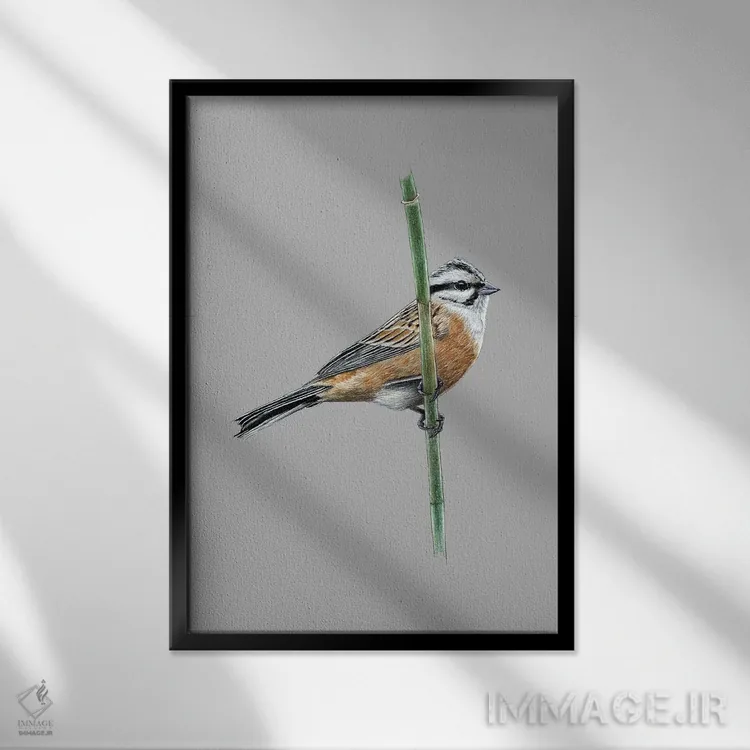 تابلو دکوراتیو چکاوک سنگی اثر میخائیل ودرنیکوف - نمای قابدار مشکی