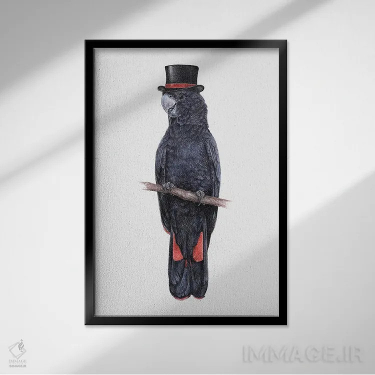 تابلو دکوراتیو کاکاتو سیاه دم قرمز اثر میخائیل ودرنیکوف - نمای قابدار مشکی