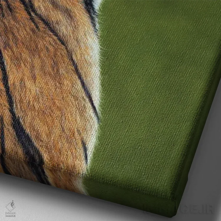 تابلو دکوراتیو ببر ۳ اثر میخائیل ودرنیکوف - نمای نزدیک بافت بوم