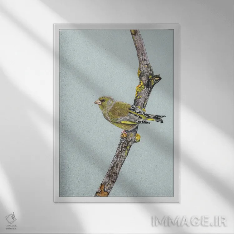 تابلو دکوراتیو سبزمرغ اثر میخائیل ودرنیکوف - نمای قابدار سفید