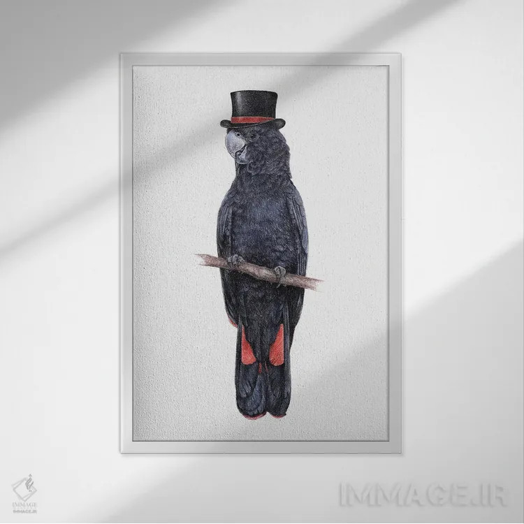 تابلو دکوراتیو کاکاتو سیاه دم قرمز اثر میخائیل ودرنیکوف - نمای قابدار سفید