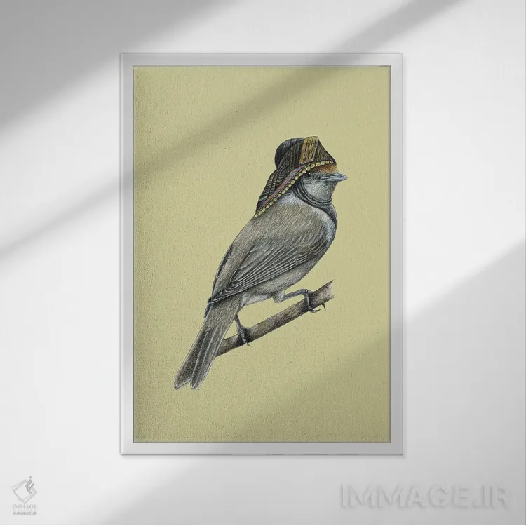 تابلو دکوراتیو کلاه سیاه اوراسیایی ۲ اثر میخائیل ودرنیکوف - نمای قابدار سفید