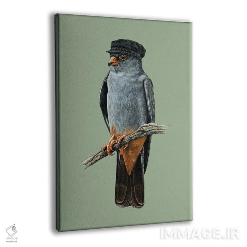 تابلو دکوراتیو شاهین پا قرمز اثر میخائیل ودرنیکوف - نمای پرسپکتیو محصول