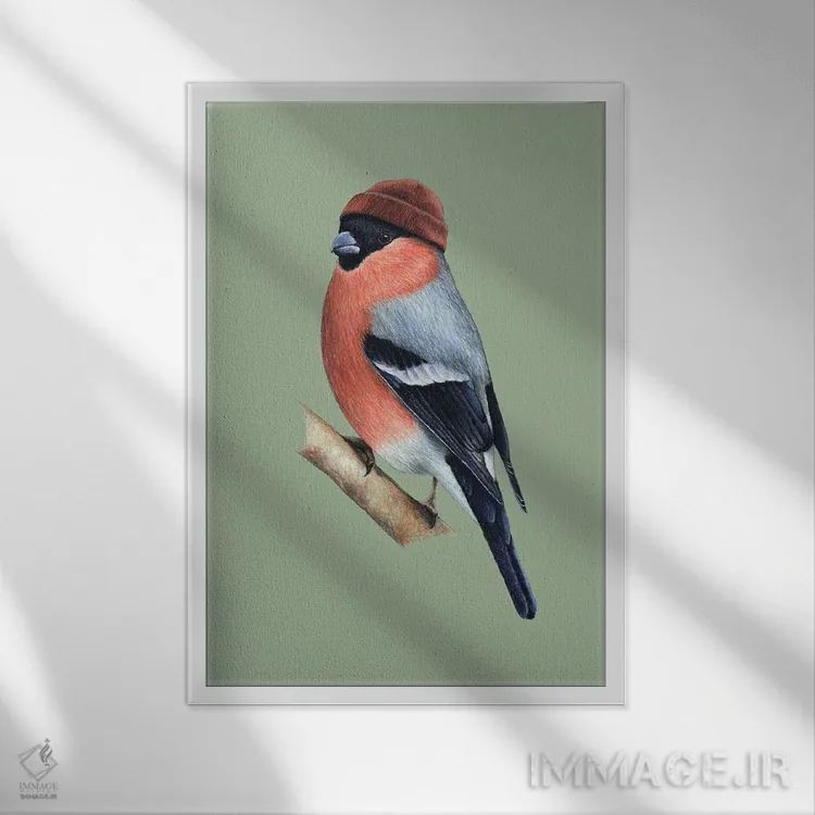 تابلو دکوراتیو کبودعقابی اوراسیایی ۲ اثر میخائیل ودرنیکوف - نمای قابدار سفید