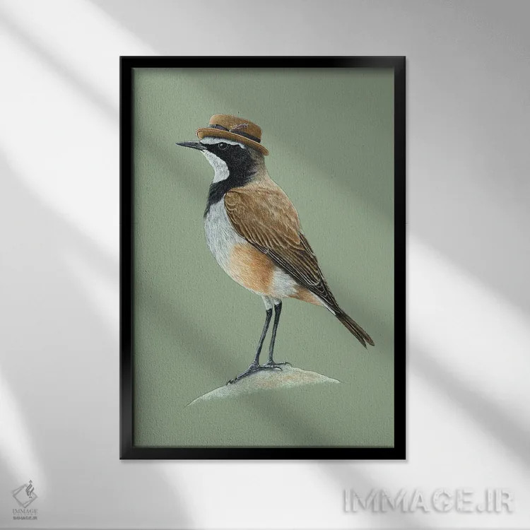 تابلو دکوراتیو "سینه سر سفیدکلاه دار" اثر میخائیل ودرنیکوف - نمای قابدار مشکی