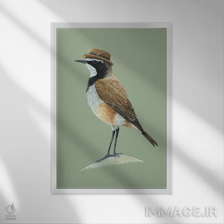 تابلو دکوراتیو "سینه سر سفیدکلاه دار" اثر میخائیل ودرنیکوف - نمای قابدار سفید