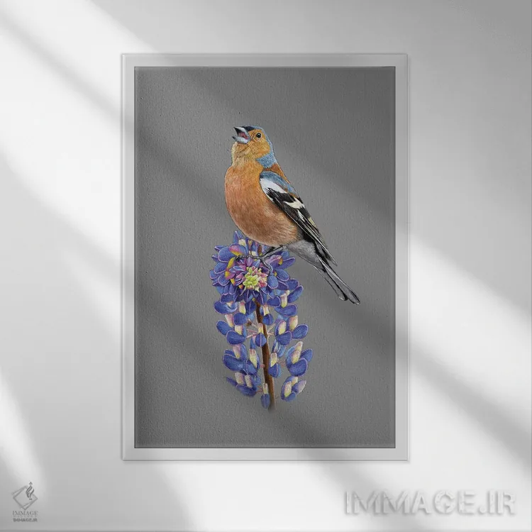 تابلو دکوراتیو "ساسک معمولی" اثر میخائیل ودرنیکوف - نمای قابدار سفید