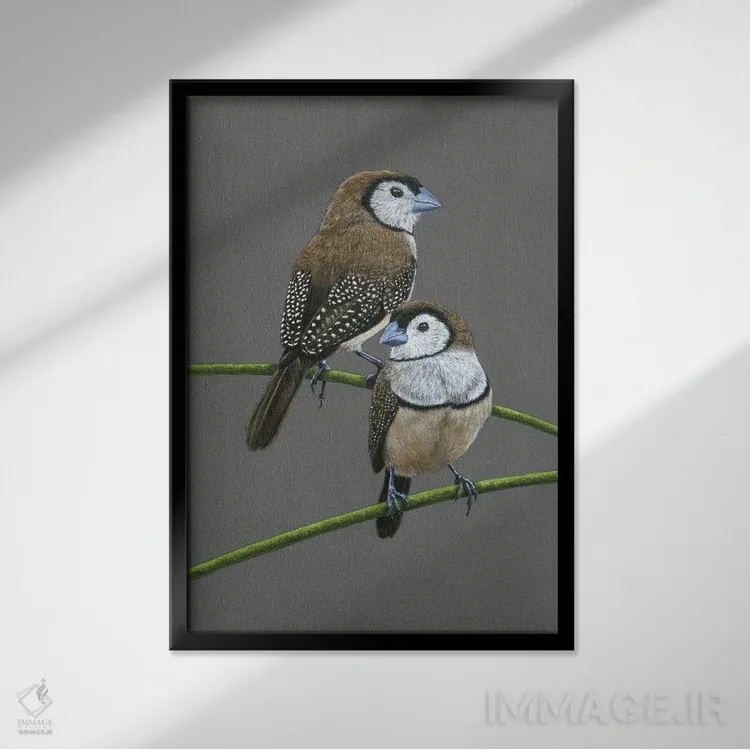 تابلو دکوراتیو "ساسک های دوخطی" اثر میخائیل ودرنیکوف - نمای قابدار مشکی