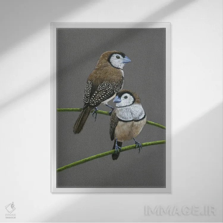 تابلو دکوراتیو "ساسک های دوخطی" اثر میخائیل ودرنیکوف - نمای قابدار سفید