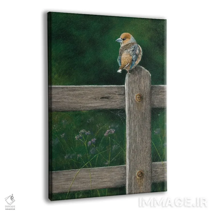 تابلو دکوراتیو "دارکوب نوک کلفت" اثر میخائیل ودرنیکوف - نمای پرسپکتیو محصول