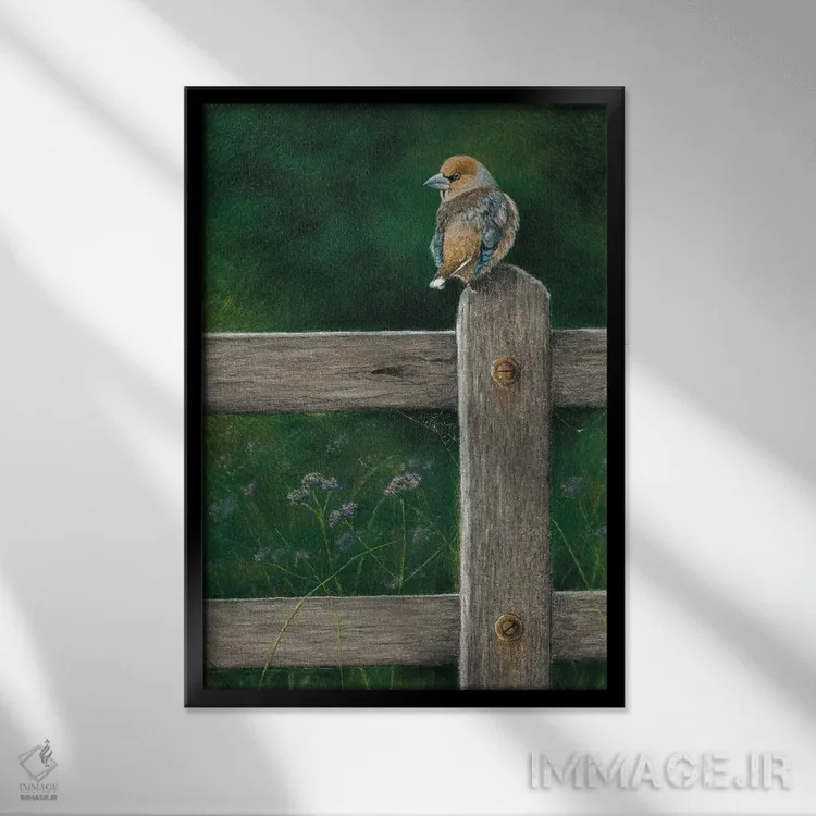 تابلو دکوراتیو "دارکوب نوک کلفت" اثر میخائیل ودرنیکوف - نمای قابدار مشکی