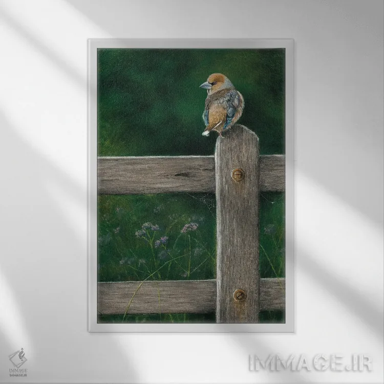 تابلو دکوراتیو "دارکوب نوک کلفت" اثر میخائیل ودرنیکوف - نمای قابدار سفید