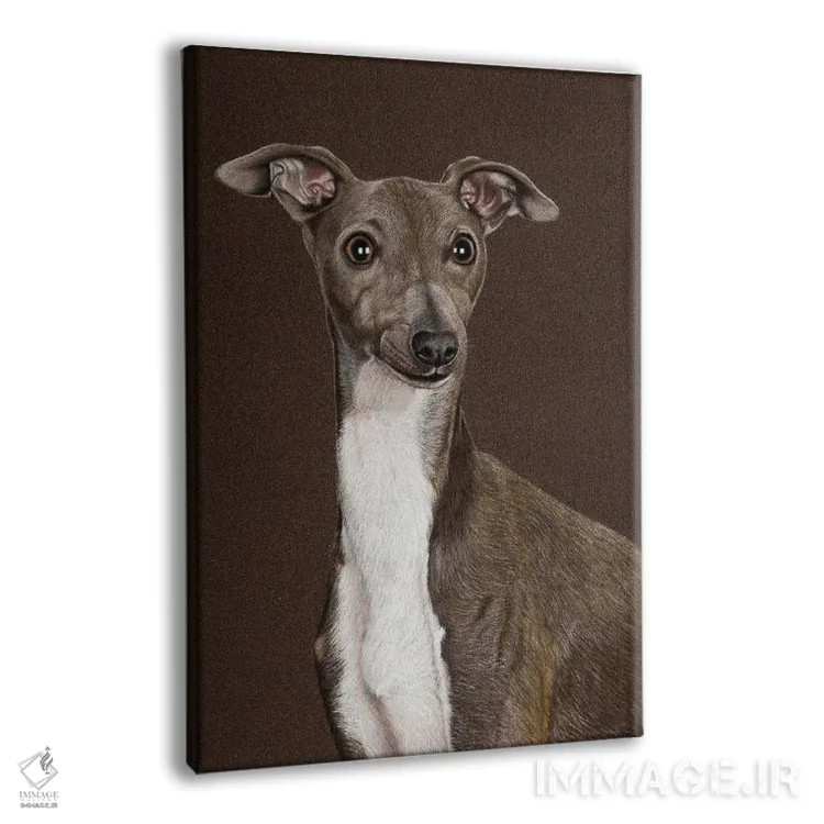 تابلو دکوراتیو "سگ تازی ایتالیایی" اثر میخائیل ودرنیکوف - نمای پرسپکتیو محصول