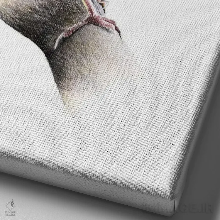 تابلو دکوراتیو "مرغ سهره ژاپنی" اثر میخائیل ودرنیکوف - نمای نزدیک بافت بوم