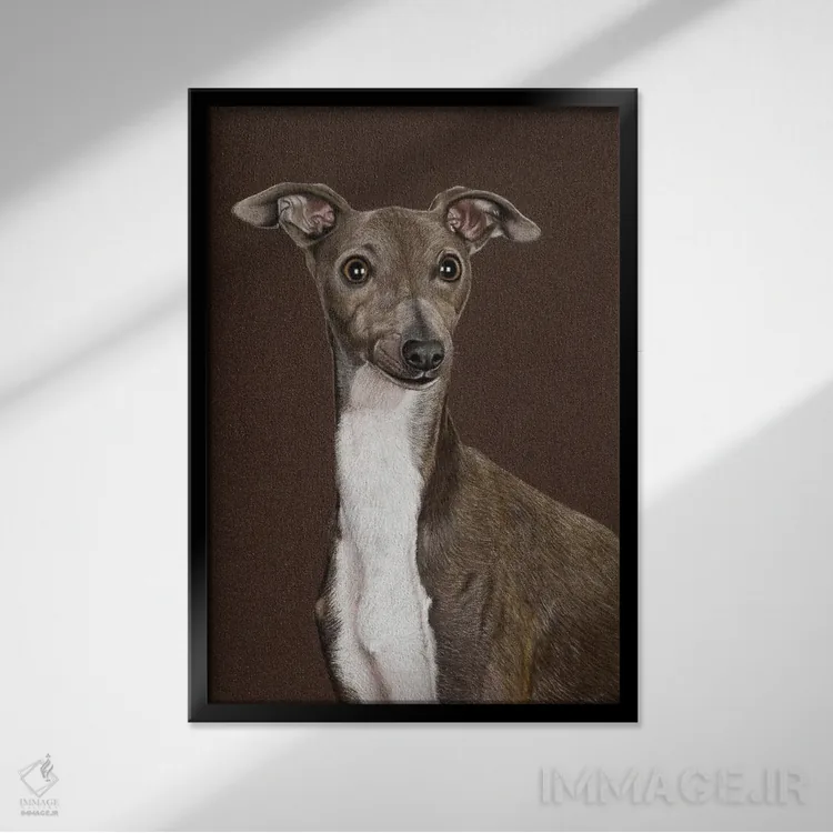 تابلو دکوراتیو "سگ تازی ایتالیایی" اثر میخائیل ودرنیکوف - نمای قابدار مشکی