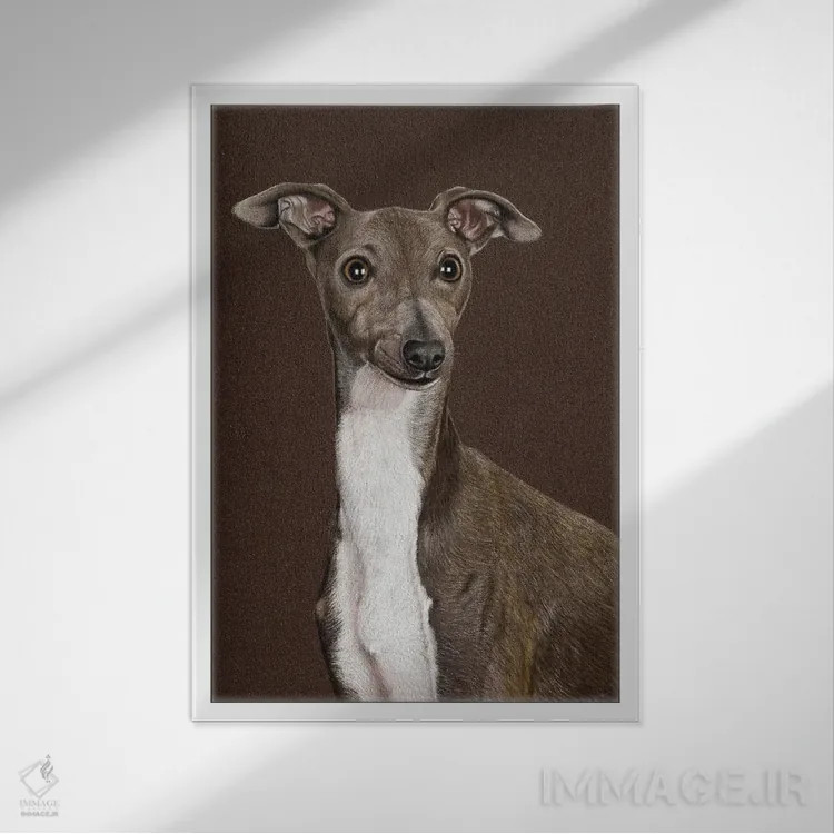 تابلو دکوراتیو "سگ تازی ایتالیایی" اثر میخائیل ودرنیکوف - نمای قابدار سفید