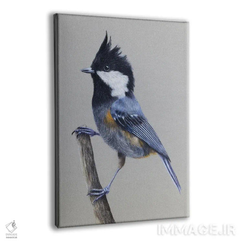 تابلو دکوراتیو "سهره با بال خال دار" اثر میخائیل ودرنیکوف - نمای پرسپکتیو محصول