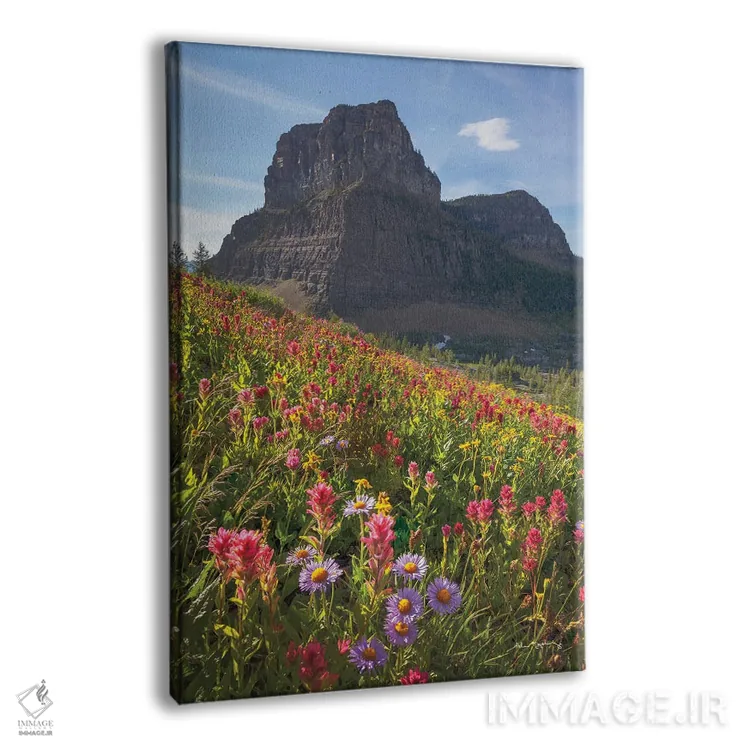 تابلو دکوراتیو گل های وحشی گذر بولدر اثر آلن ماچروویچ - نمای پرسپکتیو محصول