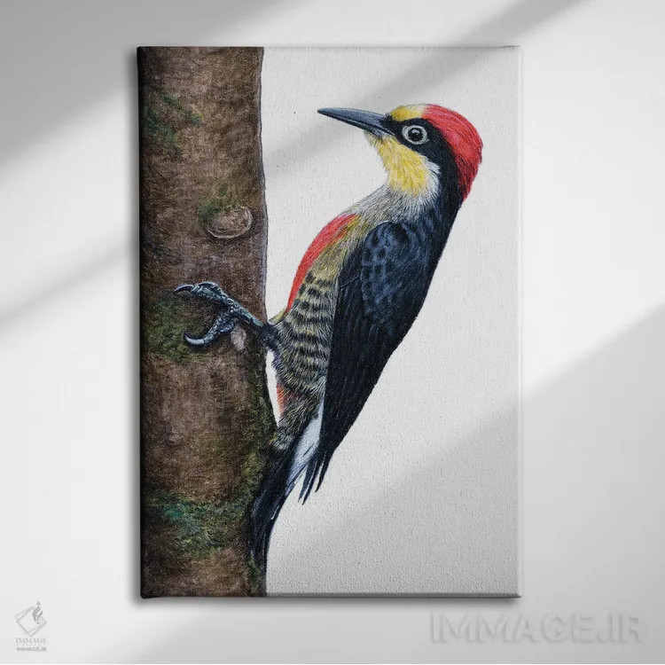 تابلو دکوراتیو "دارکوب پیشانی زرد" اثر میخائیل ودرنیکوف - نمای روبهرو روی دیوار