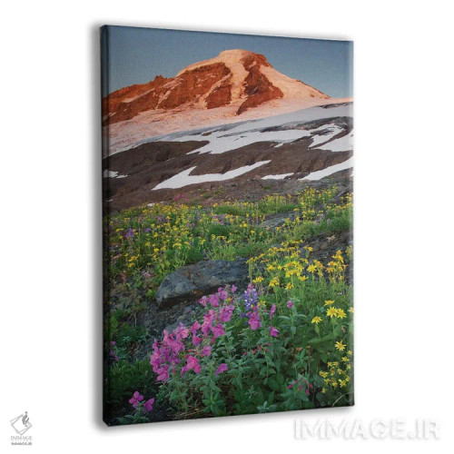 تابلو دکوراتیو آمریکا، ایالت واشنگتن. کوه بیکر، دیده شده از مراتع هلیوترو… اثر آلن ماچروویچ - نمای پرسپکتیو محصول