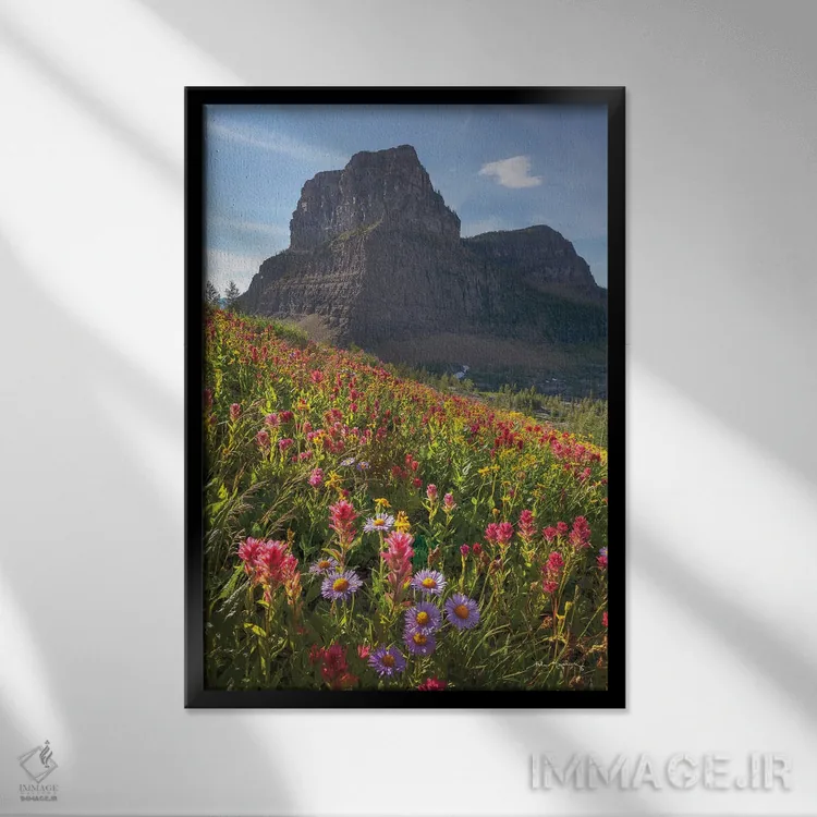 تابلو دکوراتیو گل های وحشی گذر بولدر اثر آلن ماچروویچ - نمای قابدار مشکی