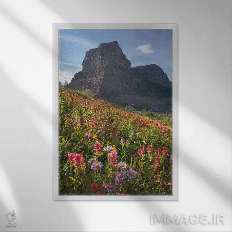 تابلو دکوراتیو گل های وحشی گذر بولدر اثر آلن ماچروویچ - نمای قابدار سفید