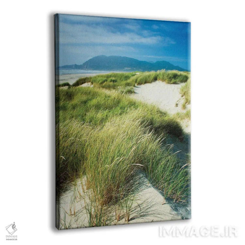 تابلو دکوراتیو علف های ماسه زار اورگن اثر آلن ماچروویچ - نمای پرسپکتیو محصول