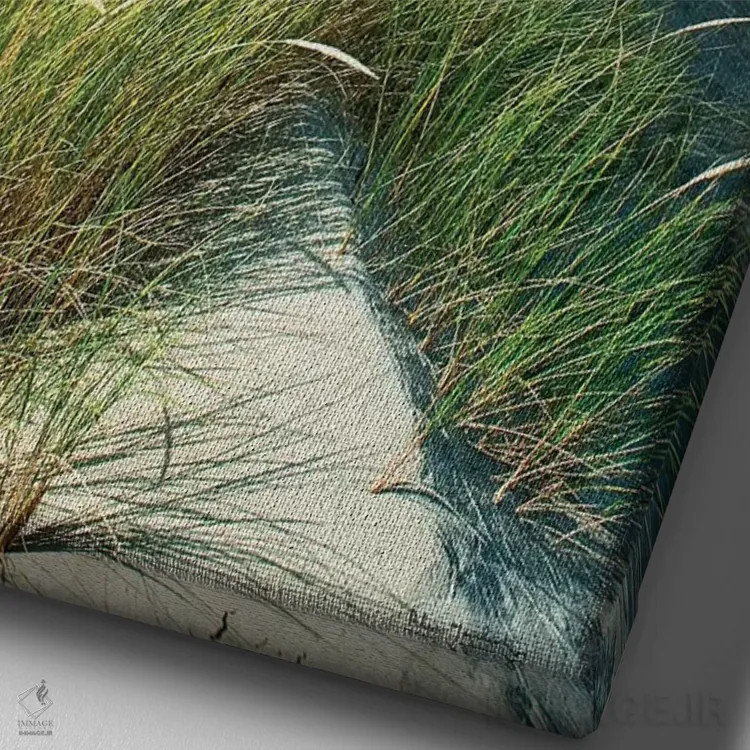 تابلو دکوراتیو علف های ماسه زار اورگن اثر آلن ماچروویچ - نمای نزدیک بافت بوم