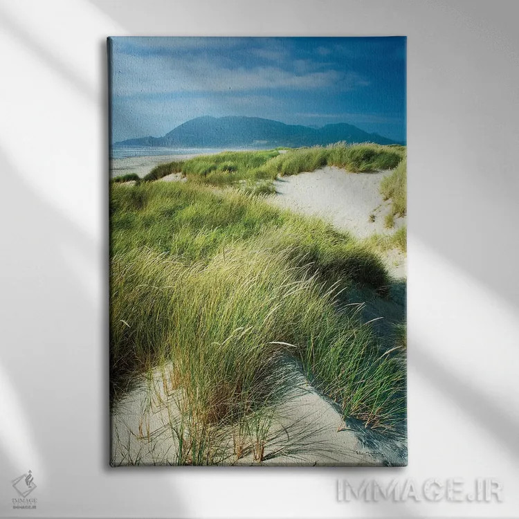 تابلو دکوراتیو علف های ماسه زار اورگن اثر آلن ماچروویچ - نمای روبهرو روی دیوار