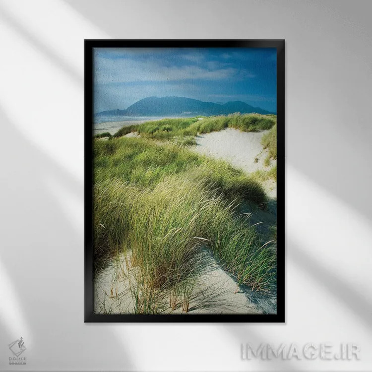 تابلو دکوراتیو علف های ماسه زار اورگن اثر آلن ماچروویچ - نمای قابدار مشکی