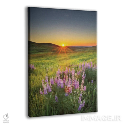 تابلو دکوراتیو طلوع در دشت های باز اثر آلن ماچروویچ - نمای پرسپکتیو محصول
