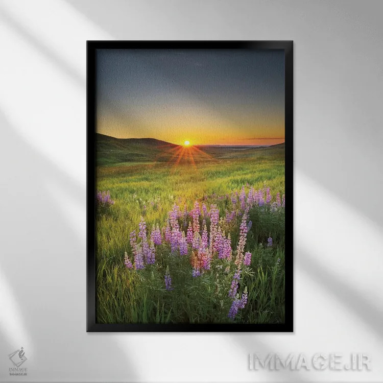 تابلو دکوراتیو طلوع در دشت های باز اثر آلن ماچروویچ - نمای قابدار مشکی