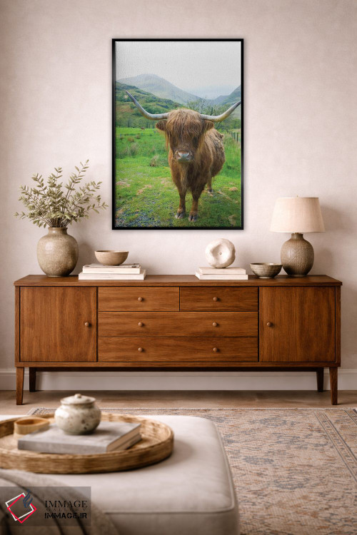 تابلو دکوراتیو گاوهای کوهستانی اسکاتلندی ۶ اثر آلن ماچروویچ - D4B