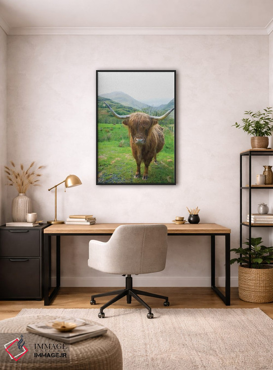 تابلو دکوراتیو گاوهای کوهستانی اسکاتلندی ۶ اثر آلن ماچروویچ - D3B