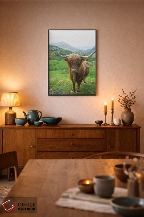 تابلو دکوراتیو گاوهای کوهستانی اسکاتلندی ۶ اثر آلن ماچروویچ - D6B