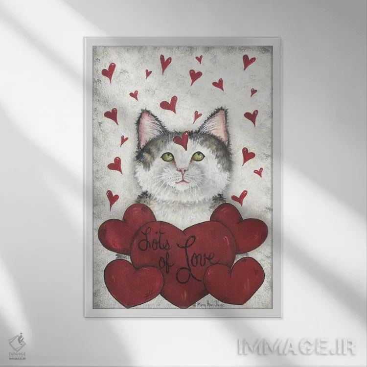 تابلو دکوراتیو پر از عشق اثر مری آن جون - نمای قابدار سفید