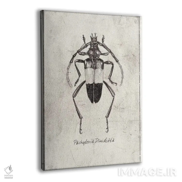 تابلو دکوراتیو پاکیتریا دی میدیاتا اثر مایک کوبو - نمای پرسپکتیو محصول