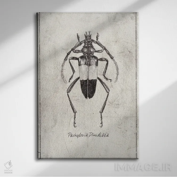 تابلو دکوراتیو پاکیتریا دی میدیاتا اثر مایک کوبو - نمای روبهرو روی دیوار