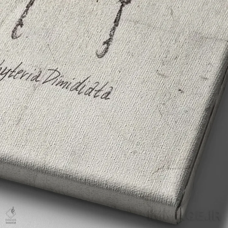 تابلو دکوراتیو پاکیتریا دی میدیاتا اثر مایک کوبو - نمای نزدیک بافت بوم