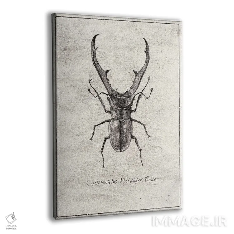 تابلو دکوراتیو سیکلوماتوس متالیفر فینه اثر مایک کوبو - نمای پرسپکتیو محصول