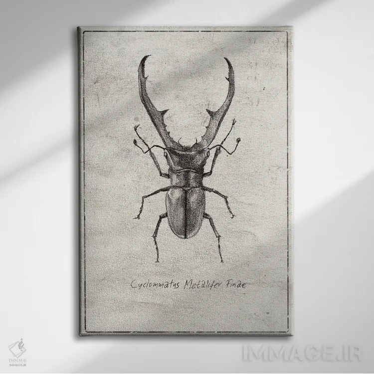 تابلو دکوراتیو سیکلوماتوس متالیفر فینه اثر مایک کوبو - نمای روبهرو روی دیوار