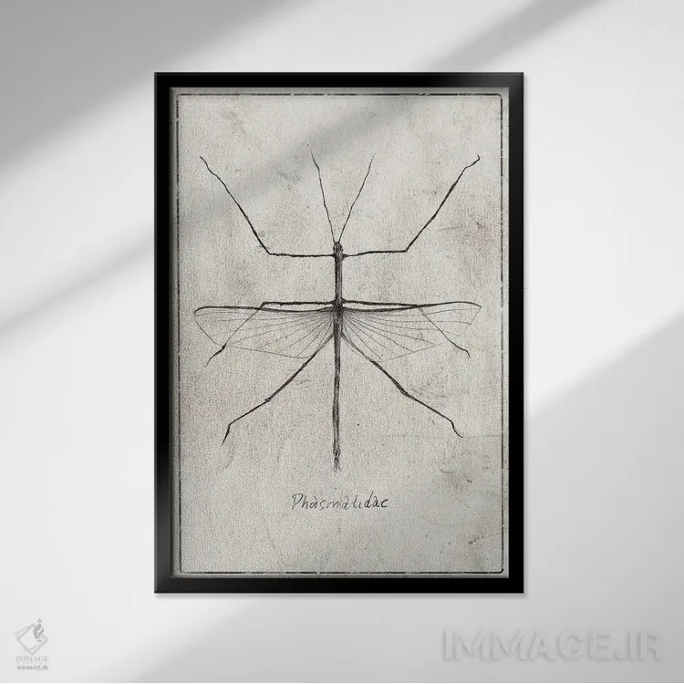 تابلو دکوراتیو فسماتیده اثر مایک کوبو - نمای قابدار مشکی