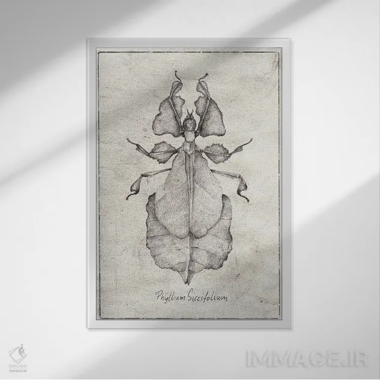 تابلو دکوراتیو فیللیوم سیکسیفولیوم اثر مایک کوبو - نمای قابدار سفید