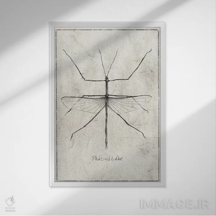 تابلو دکوراتیو فسماتیده اثر مایک کوبو - نمای قابدار سفید