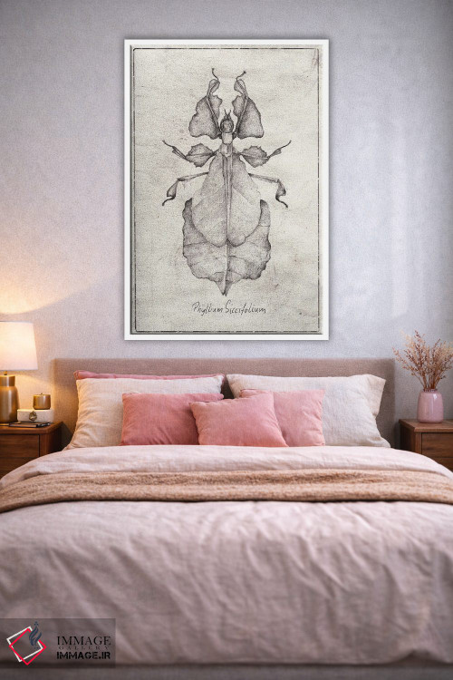 تابلو دکوراتیو فیللیوم سیکسیفولیوم اثر مایک کوبو - D1W