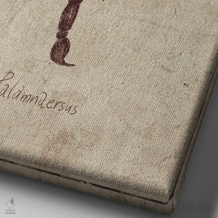 تابلو دکوراتیو پالامنارسوس اثر مایک کوبو - نمای نزدیک بافت بوم